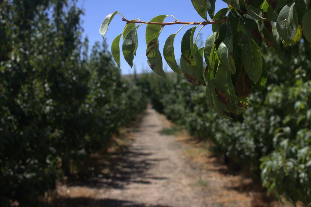 Casa Rural Consuelo Jumilla Rum bild